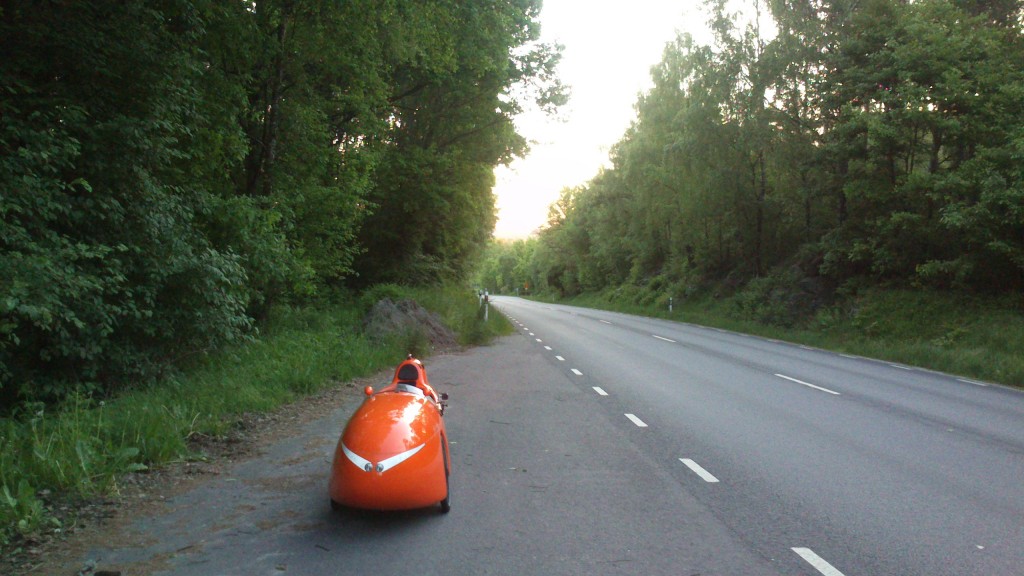 Pause Studerede botanik i vejkanten