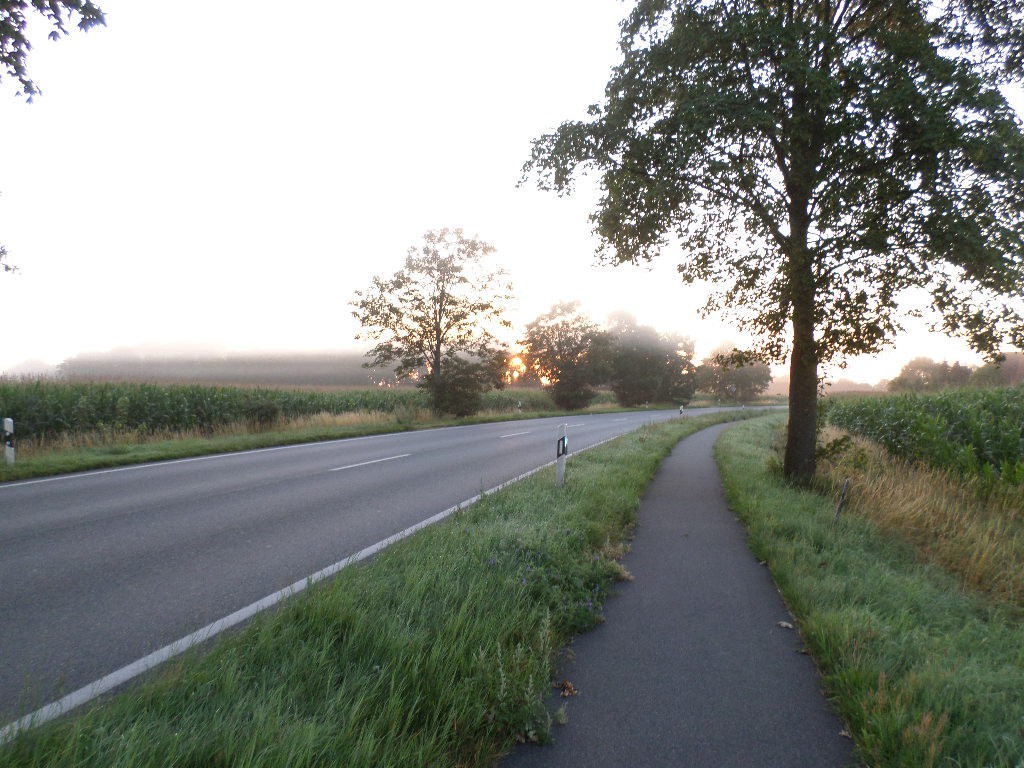 Morgensol og dis på tysk cykelsti