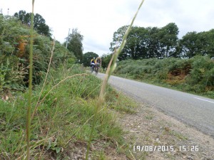 PBP 2015 Randonneurs on the road