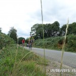 PBP 2015 Randonneurs on the road