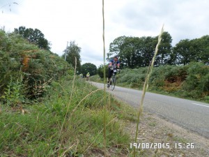 PBP 2015 Randonneurs on the road