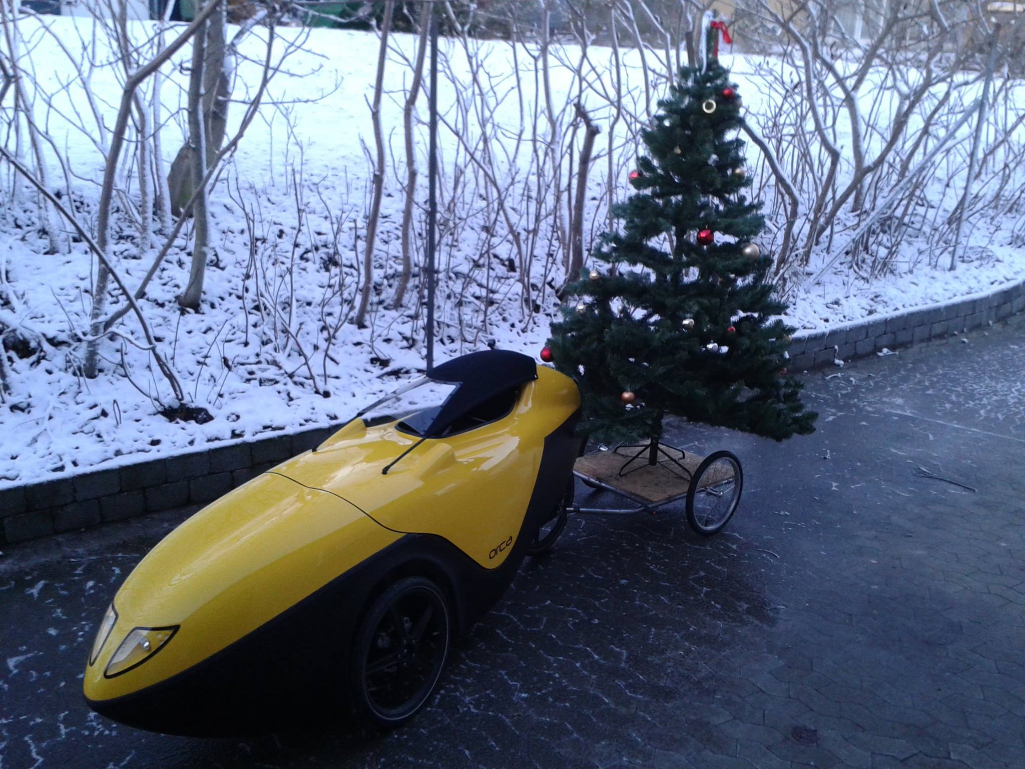 Orca med Juletræ ved velomobilcenter.dk